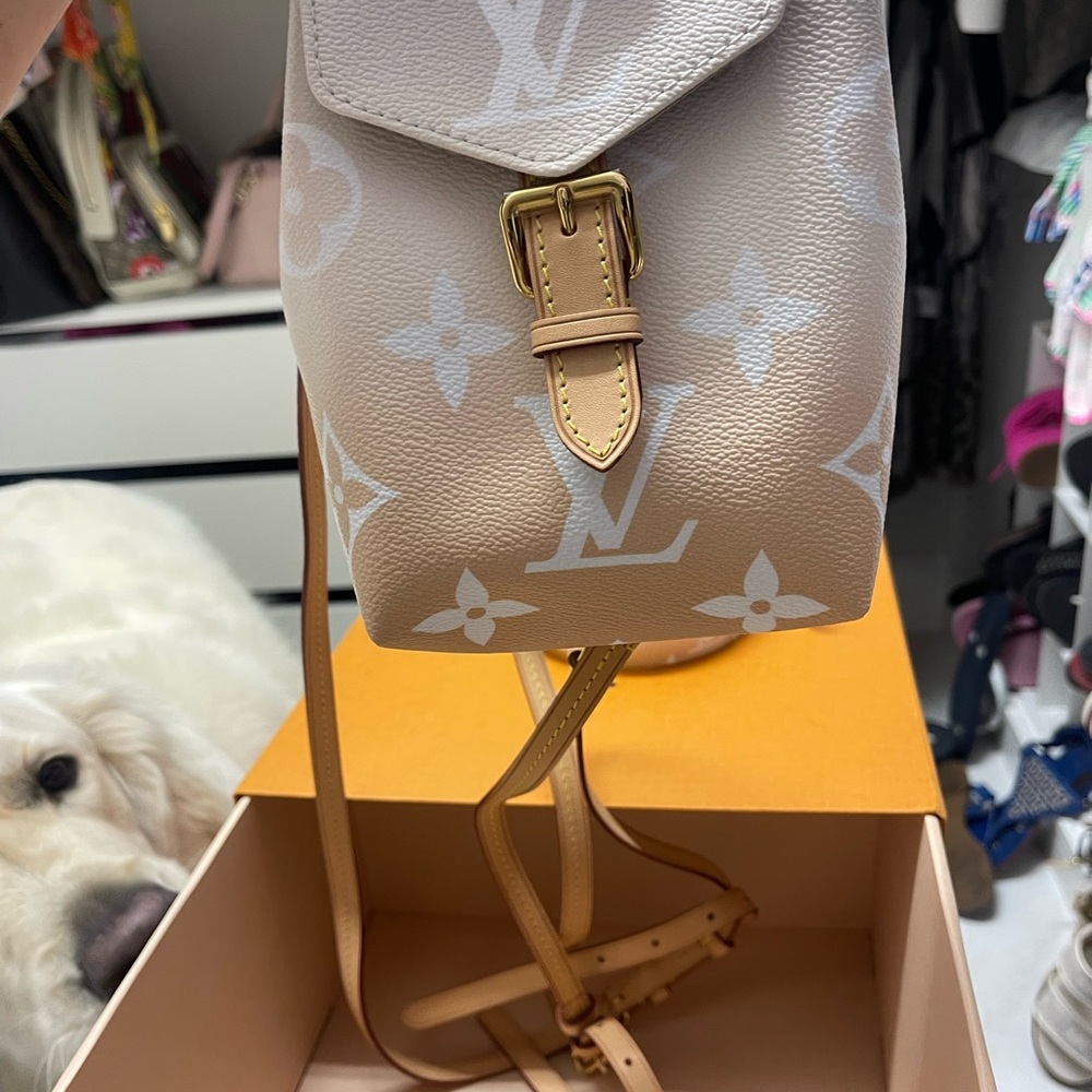 Louis Vuitton Pink and White Backpack with Monogram Design - Picture 2 of 10